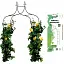 Арка садовая-пергола Garden Line PERG-N6078 - миниатюра 2
