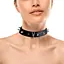 Нашийник із шипами Art of Sex - Collar Spikes - мініатюра 1