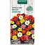 Насіння Жоржина Насіння України Веселі хлоп'ята (суміш) 0.2 г (779900) - мініатюра 1