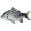 Мягкая игрушка Сувенир карась Копица 00287-7 Серебристый - миниатюра 1