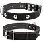 Нашийник для собак Collar одинарний з прикрасою (4820082491949) - мініатюра 1