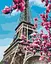 Картина по номерам на подрамнике Brushme Цветение магнолий в Париже - миниатюра 1