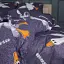 Комплект постельного белья MirSon Бязь 17-0662 Гусь Обнимусь 220х240 см серо-белый (2200009985140) - миниатюра 4