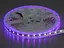 Світлодіодна стрічка 12В, 60діодів на метр, 10мм, RGB - мініатюра 4