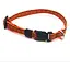 Нашийник для собак Zoo-hunt Тренд капроновий ОК 1,0 см 19-30 см помаранчевий - мініатюра 1