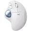 Мышка Logitech Ergo M575 for Business Wireless Trackball Off-White (910-006438) - миниатюра 1