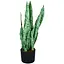 Штучна рослина Sansevieria 65 см (DW-11) - мініатюра 1
