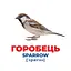 Набір розвиваючих карток Геній з пелюшок "Птахи України" Ранок 10107193У, 17 карток - мініатюра 2