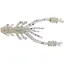 Силикон Reins Ring Shrimp 2 12 шт/уп. Бежевый (1013-1552.08.24) - миниатюра 1