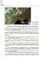 Географія. Підручник для 8 класу - мініатюра 6