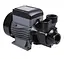 Насос поверхневий вихровий Thermo Alliance QBm80 - мініатюра 1
