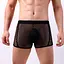 Чоловічі труси спокусливі боксери еластичні в сітку Clever Menmode L чорні - мініатюра 2