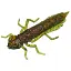 Силикон FishUP Dragonfly 1.2" #019 - Motor Oil/Red (10 шт/уп) - миниатюра 1