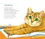Про котів та про собак - миниатюра 6