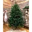 Ялинка Hvoya Super Lux пишна лита 160 см зелена - мініатюра 2