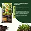 Торфосмесь COMPO CACTEA® для кактусов 5 л - миниатюра 3