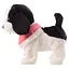 Интерактивная игрушка Мой Пушистый Друг Песик Робин (CJ-4857150) - миниатюра 4