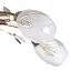 Люстра потолочная Brille классическая E14 40W G (LK-450C/5) - миниатюра 5