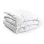 Одеяло силиконовое Руно Warm Silver зимнее 172х205 см 316.52_Warm Silver - миниатюра 1