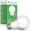 Світлодіодна лампочка Famitree E27 Edison Screw, 20 Вт (150 Вт еквівалент), теплий білий, 2452 лм, без регулювання яскравості - - мініатюра 1
