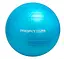 Мяч для фитнеса-55см M 0275 Синий - миниатюра 1