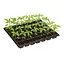 Кассета для рассады на 35 ячеек, Господар Черный 87846 - миниатюра 2