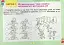 Я досліджую світ 1 клас. Діагностичні картки - миниатюра 2