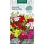 Насіння Тютюн Насіння України запашний суміш 0.2 г (784000) - мініатюра 1