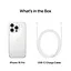 Смартфон Apple iPhone 16 Pro 256GB White TitaniumModel A3293 (Grade Q) Seller Refurbished - мініатюра 8