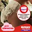Уценка. Подгузники-трусики Huggies Little Movers Pants 5 (12-17 кг) 48 шт. - миниатюра 10