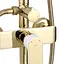 Душова система Rea Bloom gold white з виливом REA-P9529, Золотий - мініатюра 5