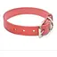Нашийник для собак Zoo-hunt Весна шкіряний червоний 2,5/36-46 см - мініатюра 1