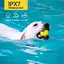 Електронний нашийник для середніх собак дресирувальний з трьома видами впливу DOBE DB900S, білий (101090) - мініатюра 5
