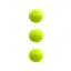 Набір м'ячів для великого тенісу SWDN Tennis Ball NE-TT-3, 3 штуки - мініатюра 1