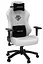 Игровое кресло Anda Seat Phantom 3 L White (AD18Y-06-W-PV) - миниатюра 1