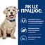 Сухий корм Hill’s Prescription Diet w/d для собак при цукровому діабеті з куркою 10 кг - мініатюра 7