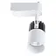 Светильник трековый поворотный LED KW-50/16W NW Brille 32-381 - миниатюра 3