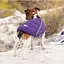 Жилет Pet Fashion E.Vest для собак, розмір XS, фіолетовий - мініатюра 5