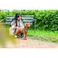 Шлея Trixie CityStyle H-harness для собак бавовна L-XL 75-120 см 25 мм світло-зелений - мініатюра 8
