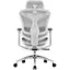 Крісло офісне Sihoo Doro C300L Mesh White (DORO-C300L-A3-102) - мініатюра 2