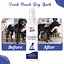 Сухой шампунь Pet Clean Dry Bath Strawberry для домашних животных с ароматом клубники 250 мл - миниатюра 6