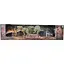 Набор игровой Dino Toys Dinosaur Model Доисторические динозавры F11 4 шт. (Q9899-F11) - миниатюра 1