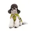 Попона Pet Fashion Gigi для собак, XXS фісташковий, бежевий - мініатюра 3