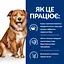 Сухий корм Hill’s Prescription Diet Derm Complete для собак при харчовій алергії та атопічному дерматиті, 12 к - мініатюра 4