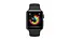 Apple Watch Series 3 GPS 38mm Space Gray with Black Sport Band (MTF02) - мініатюра 2