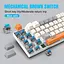 Игровая механическая проводная клавиатура HXSJ V500 / Blue Switch / 60% / RGB / Colourful - миниатюра 4