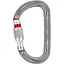 Карабин Petzl Am'D Screw-lock (1052-M34A SL) - миниатюра 1