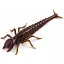 Силікон FishUP Diving Bug 2" (8шт) #050 - Green Pumpkin Brown/Red & Purple - мініатюра 1