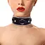 Ошейник из натуральной кожи со стразами и кольцом Art of Sex - Collar Ring - миниатюра 1