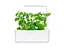 Змінний картридж Click & Grow Котяча м'ята 3 капсули (7465) - мініатюра 4